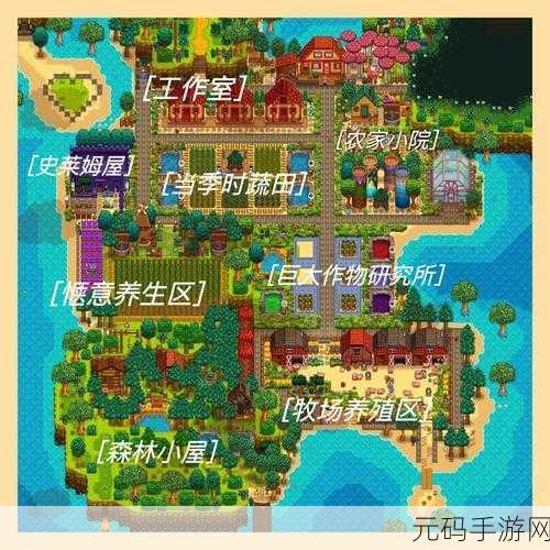 星露谷物语，储物箱秘籍，打造完美农场空间
