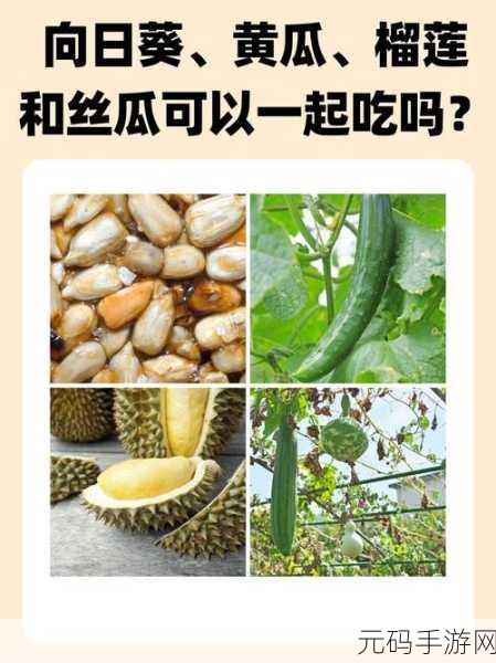 草莓丝瓜香蕉向日葵榴莲18岁污:1. "探索草莓丝瓜香蕉的奇妙世界与向日葵榴莲