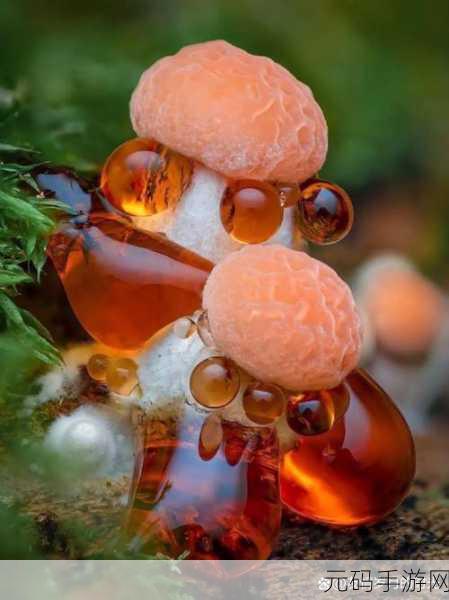 最强蜗牛探索奇妙世界，揭秘神奇蘑菇的合成奥秘