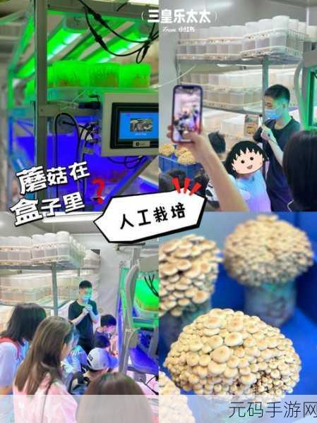最强蜗牛探索奇妙世界，揭秘神奇蘑菇的合成奥秘
