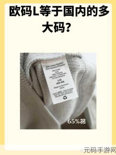 亚码l跟欧码l区别在哪:亚码与欧码L的区别及其对时尚行业的影响分析