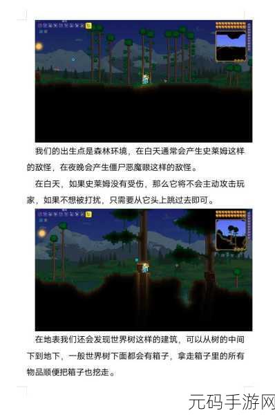 泰拉瑞亚指令输入全攻略