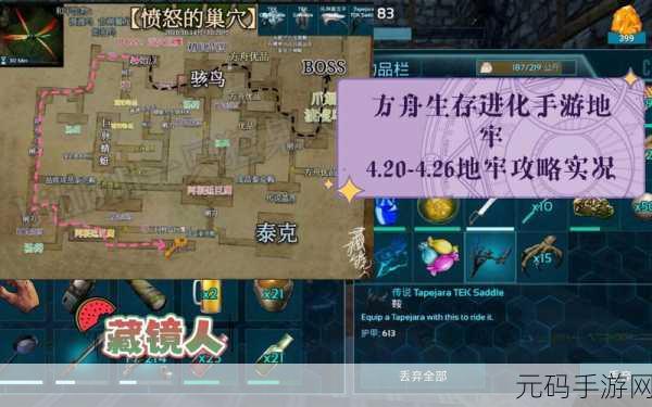 方舟生存进化单人模式秘籍，成为生存王者的必备攻略
