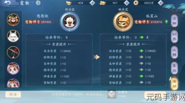 天涯明月刀手游,解锁时雨问答秘籍,答案大全助你笑傲江湖