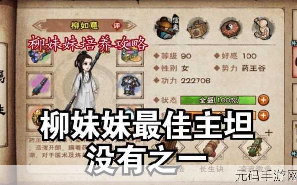 烟雨江湖柳如意完美加点秘籍
