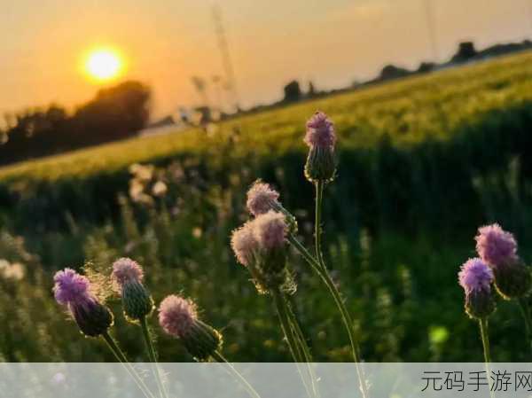男人和女人一起愁愁愁很痛的:1. 男人与女人的共同烦恼:爱情中的痛苦与挣扎