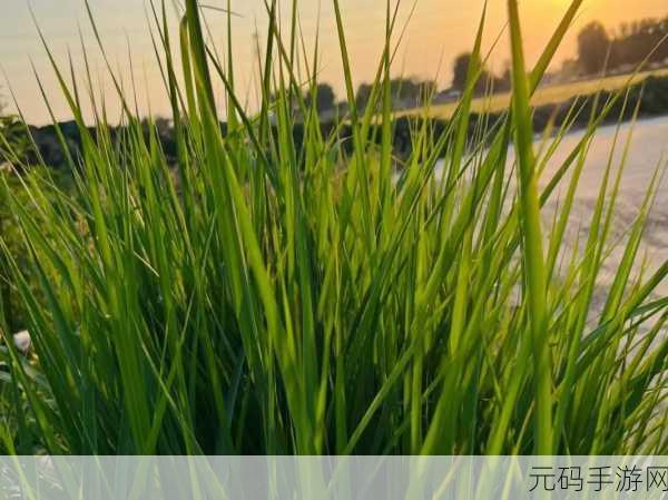 男人和女人一起愁愁愁很痛的:1. 男人与女人的共同烦恼:爱情中的痛苦与挣扎