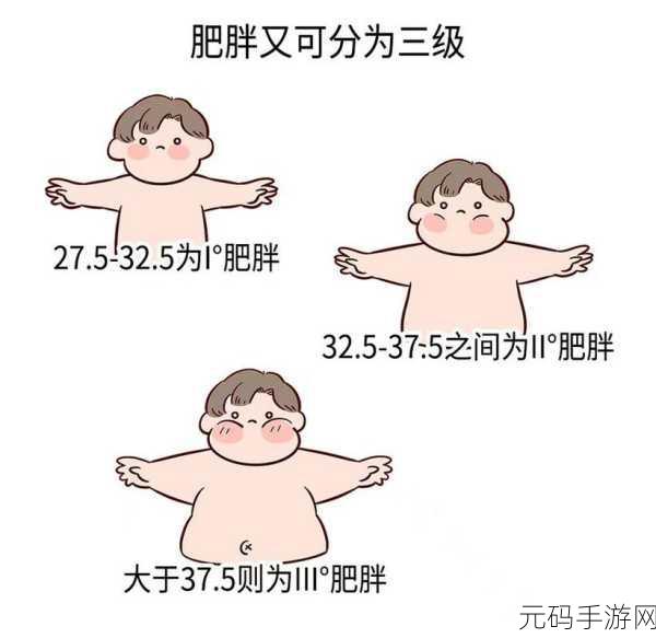 中国大肥胖VPSWINDOWS：1. 深入探索中国大肥胖现象及其成因分析