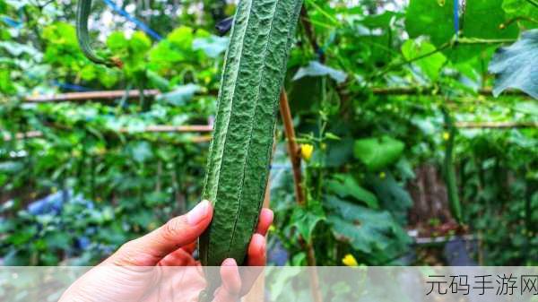 草莓丝瓜芭乐鸭脖奶茶的装饰元素：1. 清新草莓与丝瓜的奇妙碰撞，开创独特奶茶风味