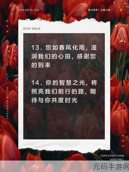 新来的老师3：1. 新老师的教学生涯：从挑战到成就