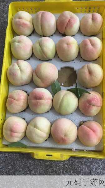 国精产品水蜜桃久久精品：1. 水蜜桃的甜美世界：探索国精产品的新选择