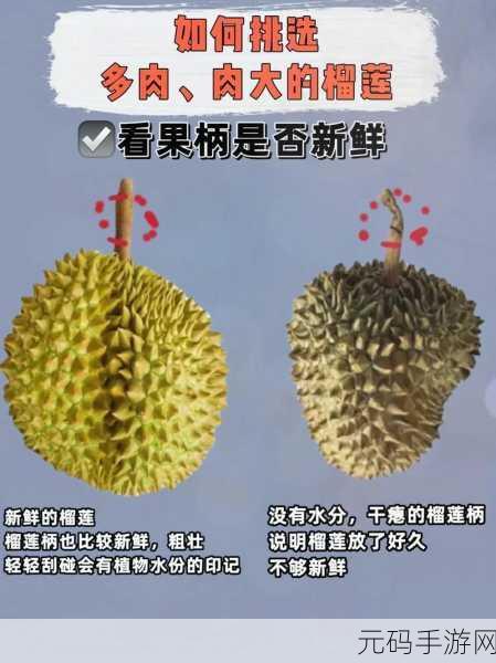 榴莲草莓西瓜茄子黄瓜:1. 榴莲草莓西瓜:热带水果的完美搭配
