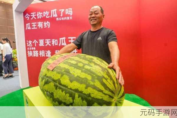 今日吃瓜51cg热门大瓜反差:1. "今日大瓜揭晓,真相与反转齐飞