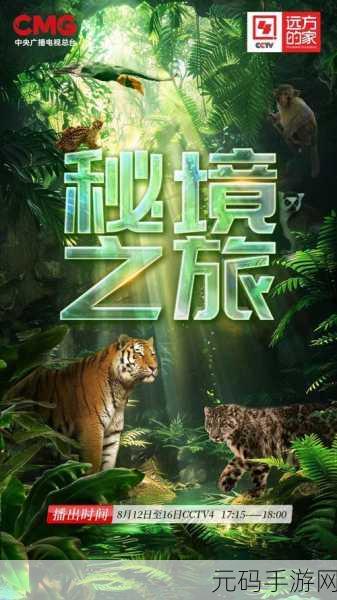 老狼在无人区的表现：老狼在无人区的逆境求生与智慧启示