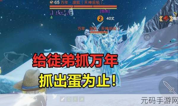 妄想山海,赤翎雕捕捉全攻略,开启级挑战新篇章