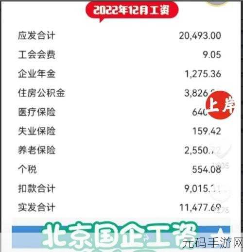免费国产砖矿砖码2023:1. 2023年免费国产砖矿砖新政策解读