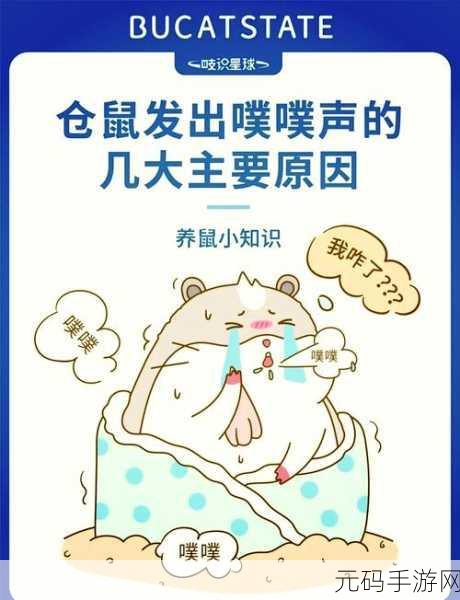 下面噗噗的响是什么原因造成的:1. 噗噗声背后的科学原理探秘