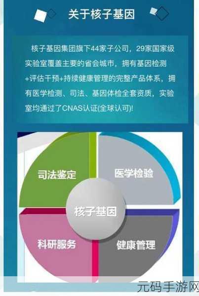 国精产品999：1. 国精产品999：品质与创新的完美结合