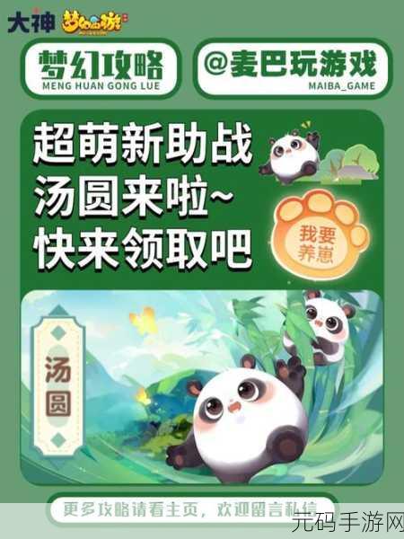 梦幻西游手游汤圆助战深度剖析,萌宠战神养成记