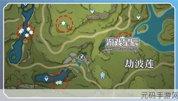 原神须弥劫波莲采集全攻略,解锁高效采集线路图