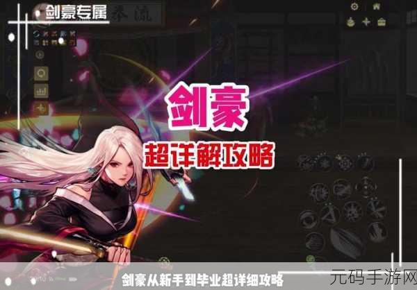 DNF 剑豪传说套终极指南，最佳选择大揭秘