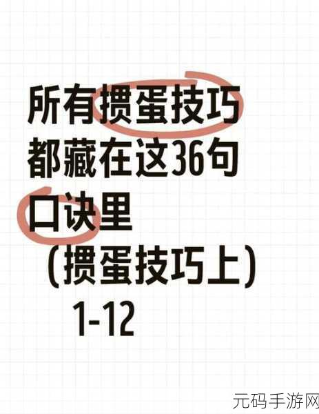 掼蛋高手技艺训练：1. 掼蛋技巧提升：从新手到高手的全方位训练