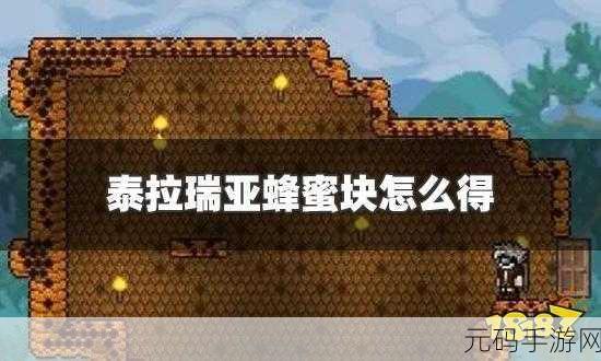 泰拉瑞亚手游，轻松掌握蜂蜜收集秘籍