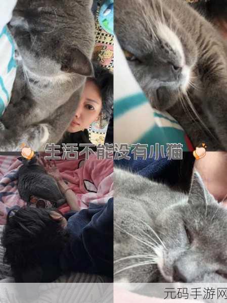 姐姐说家里没人我们就亲亲:1. 当家里无人时,我们的亲密时刻