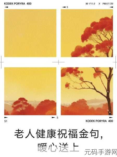 岁岁有今朝po茶茶好:1. 岁岁今朝,茶香漫溢心间