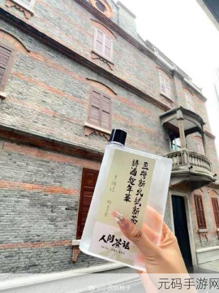 岁岁有今朝po茶茶好:1. 岁岁今朝,茶香漫溢心间