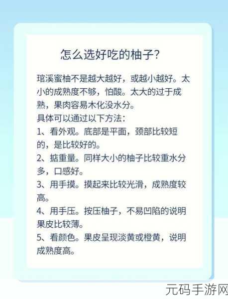 蜜柚1.6.6:1. 蜜柚1.6.6版本全新功能解析与使用指南