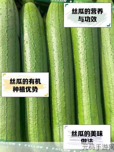 丝瓜草莓向日葵秋葵加油站：1. 丝瓜草莓：健康美味的完美结合