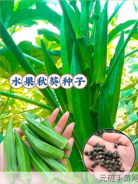 香蕉丝瓜草莓秋葵小猪芭乐茄子污苹果：1. “多彩水果与蔬菜的奇妙交响曲”