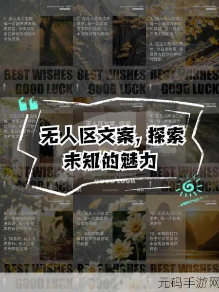 无人区乱码难题:1. 解密无人区:探索未知的编码奥秘
