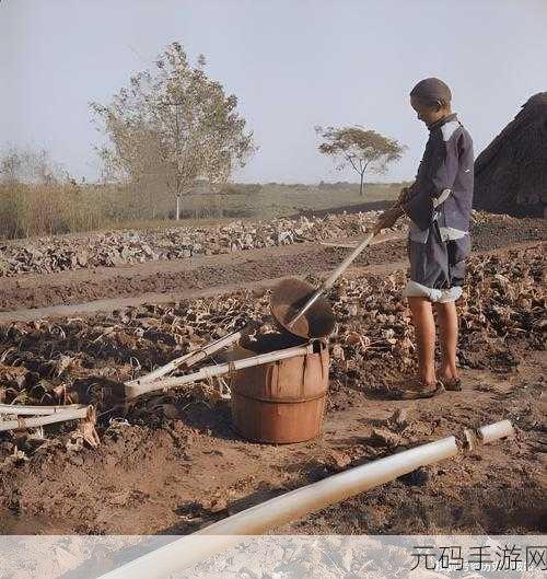 儿子耕种母亲的田地叫什么:1. 母亲田地上耕作的儿子与传统文化