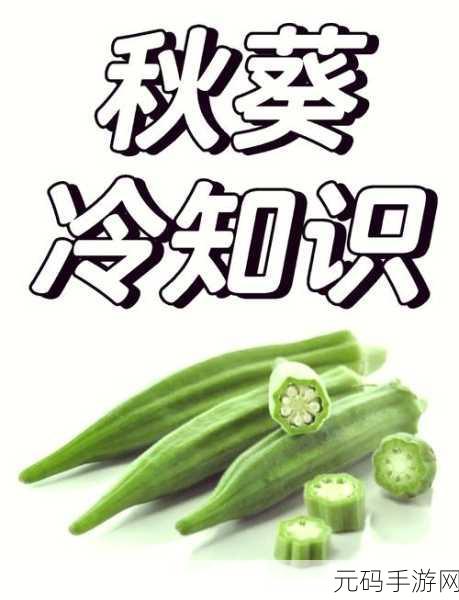 丝瓜草莓向日葵秋葵加油站:1. 夏日清新:丝瓜草莓与向日葵的奇妙结合