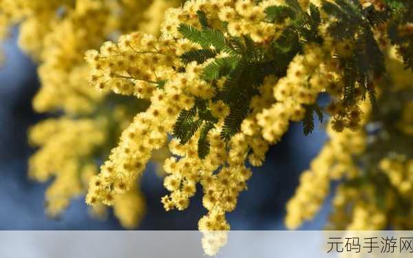 含羞草文化传媒有限公司招聘:1. 含羞草文化传媒有限公司诚邀您的加入,共创辉煌未来!