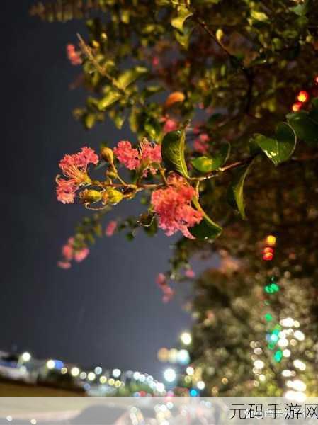 你晚上弄了好几个小雨伞知乎:1. 夜晚小雨伞的奇妙故事与温暖瞬间