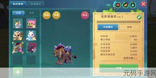 创造与魔法岩火龟,探寻神秘踪迹与美味食谱
