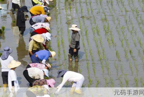 夫妻之间的108种插秧法图片:1. "探索夫妻协作的108种插秧法技巧与乐趣