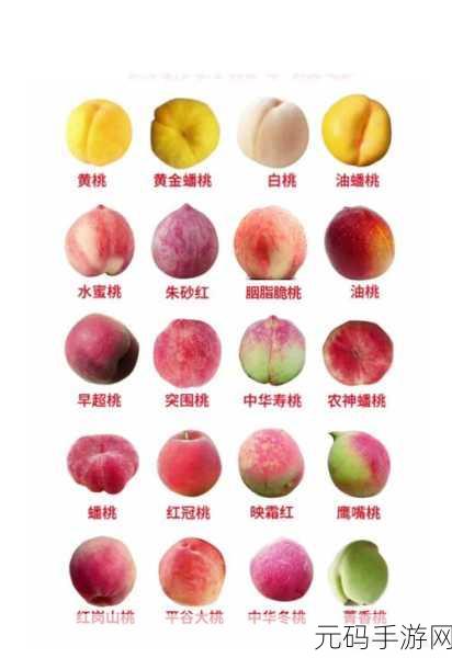 欧产国产蜜桃:1. 欧产蜜桃的独特风味与健康价值探讨