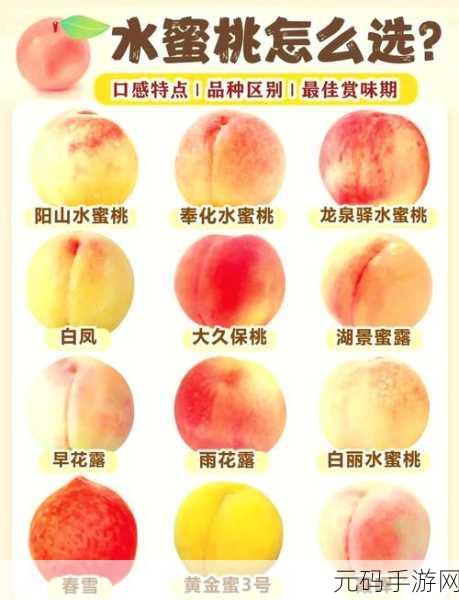 水蜜桃丰胸能维持多久:1. 水蜜桃丰胸效果持续时间揭秘