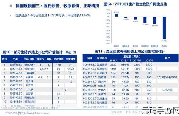 解析欧洲无线一线二线三W955据说被市场淘汰了:欧洲无线一线二线三W955市场淘汰背后的原因与影响解析