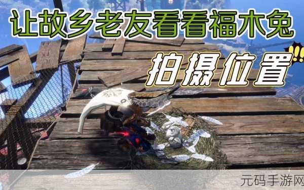 怪物猎人崛起曙光，探寻三个福木兔的神秘位置