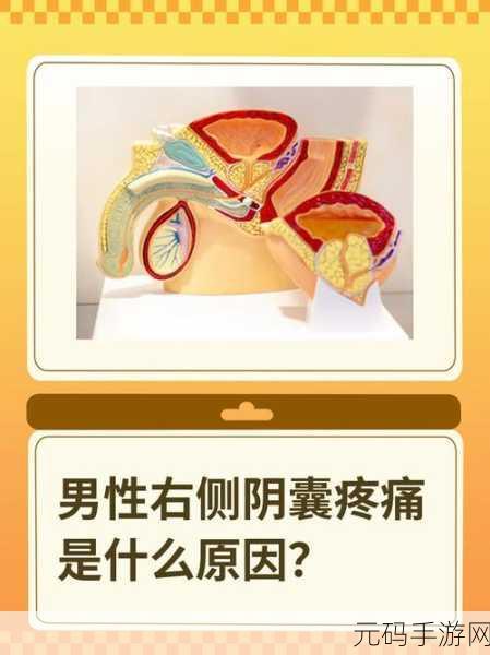 女生坐男生腿上睾丸疼正常吗图片：1. 女生坐男生腿上，睾丸疼痛的原因解析