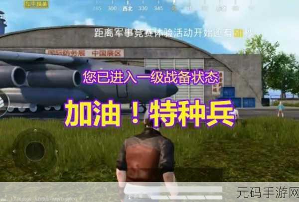 刺激战场里的夫妻档:1. “夫妻双打,携手征战刺激战场!”