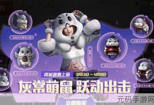 和平精英仓鼠灰灰套装,仓鼠包购买价值深度剖析
