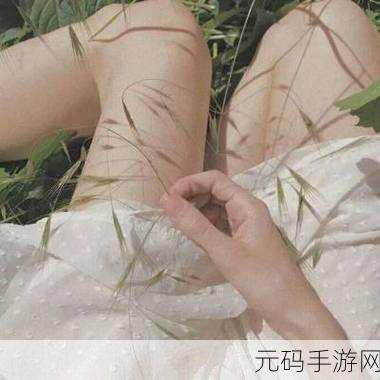 头像女下半部位图片透明高清:1. "展现自信与优雅:女性下半身的魅力