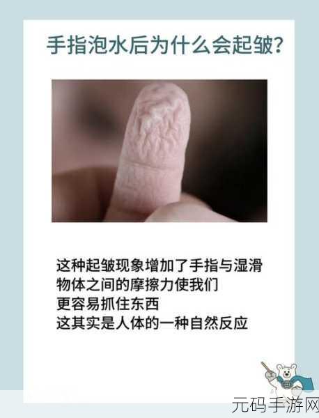 手指划入缝隙，挖水解密：1. 手指间的秘密：缝隙中的水之谜