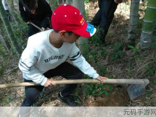 文明 6 新手启航秘籍,开局布局深度剖析指南